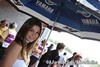 MotoGP