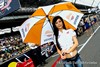 MotoGP