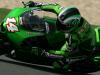 MOTOGP LOSAIL