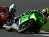 MOTOGP LOSAIL