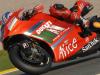 MOTOGP VALENCIA