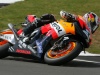 MOTOGP DONINGTON