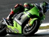 MOTOGP ESTORIL