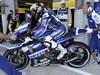 MotoGP Le Mans PROVE