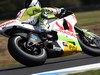MotoGP Phillip Island PROVE
