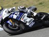Test Irta Jerez