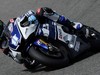Test Irta Jerez