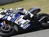 Test Irta Jerez