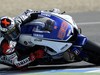 Test Irta Jerez