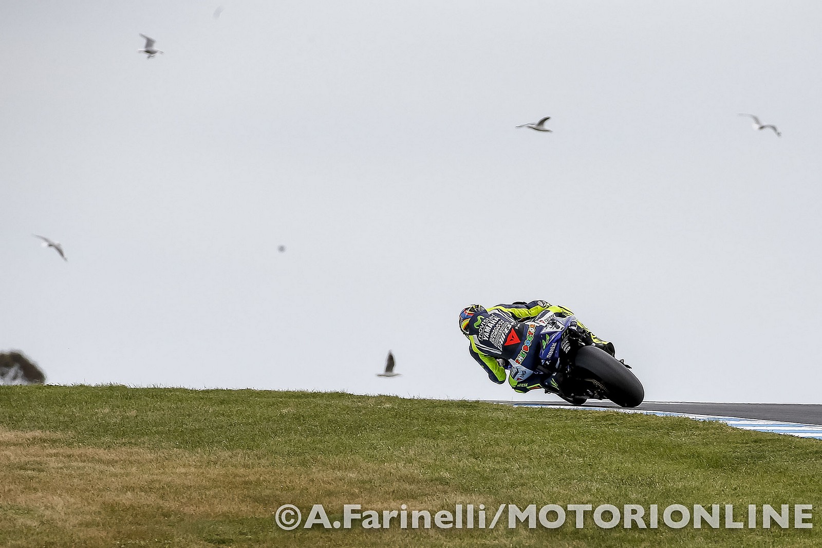 MotoGP Phillip Island RACE