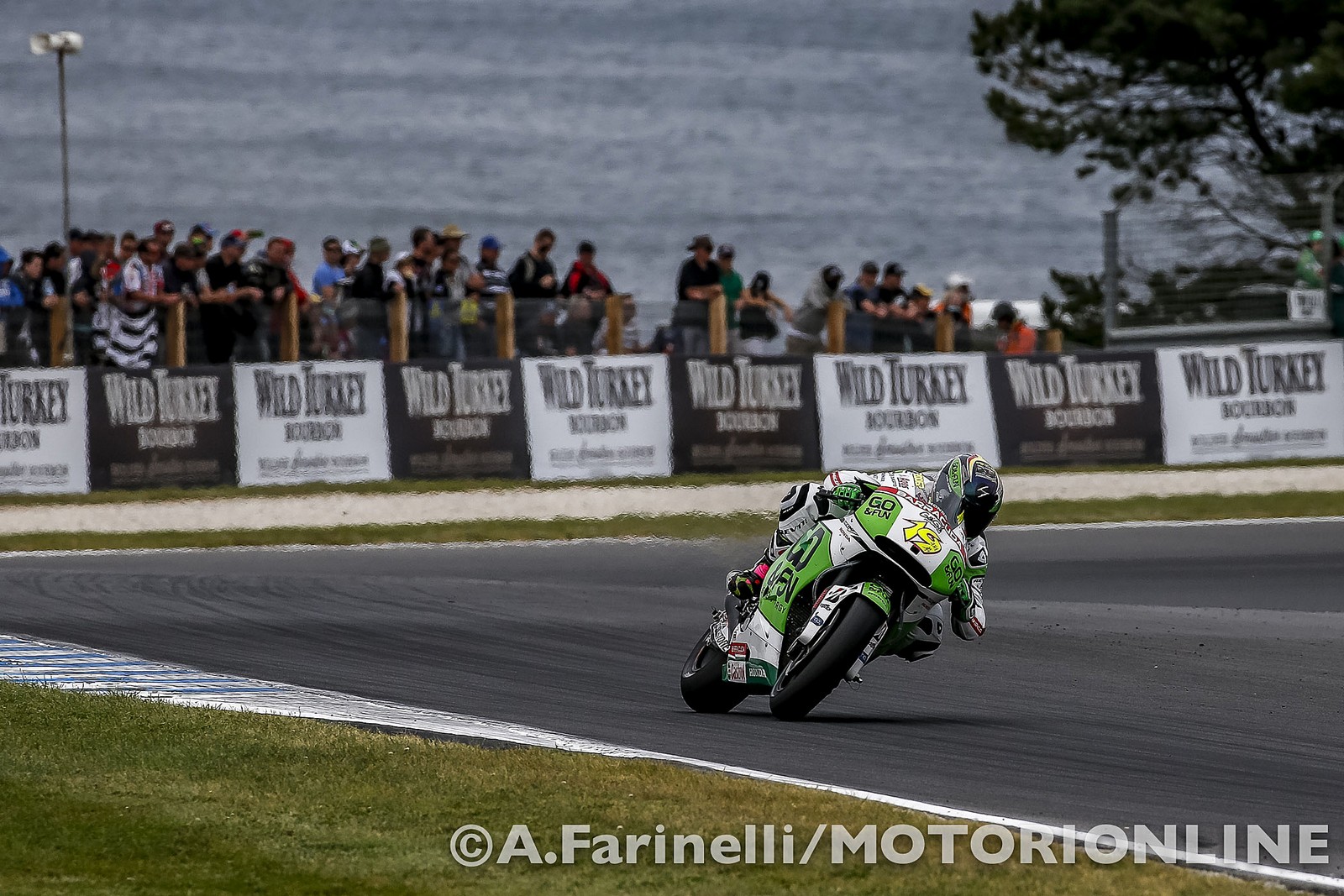 MotoGP Phillip Island RACE