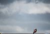 MotoGP Phillip Island Day_2