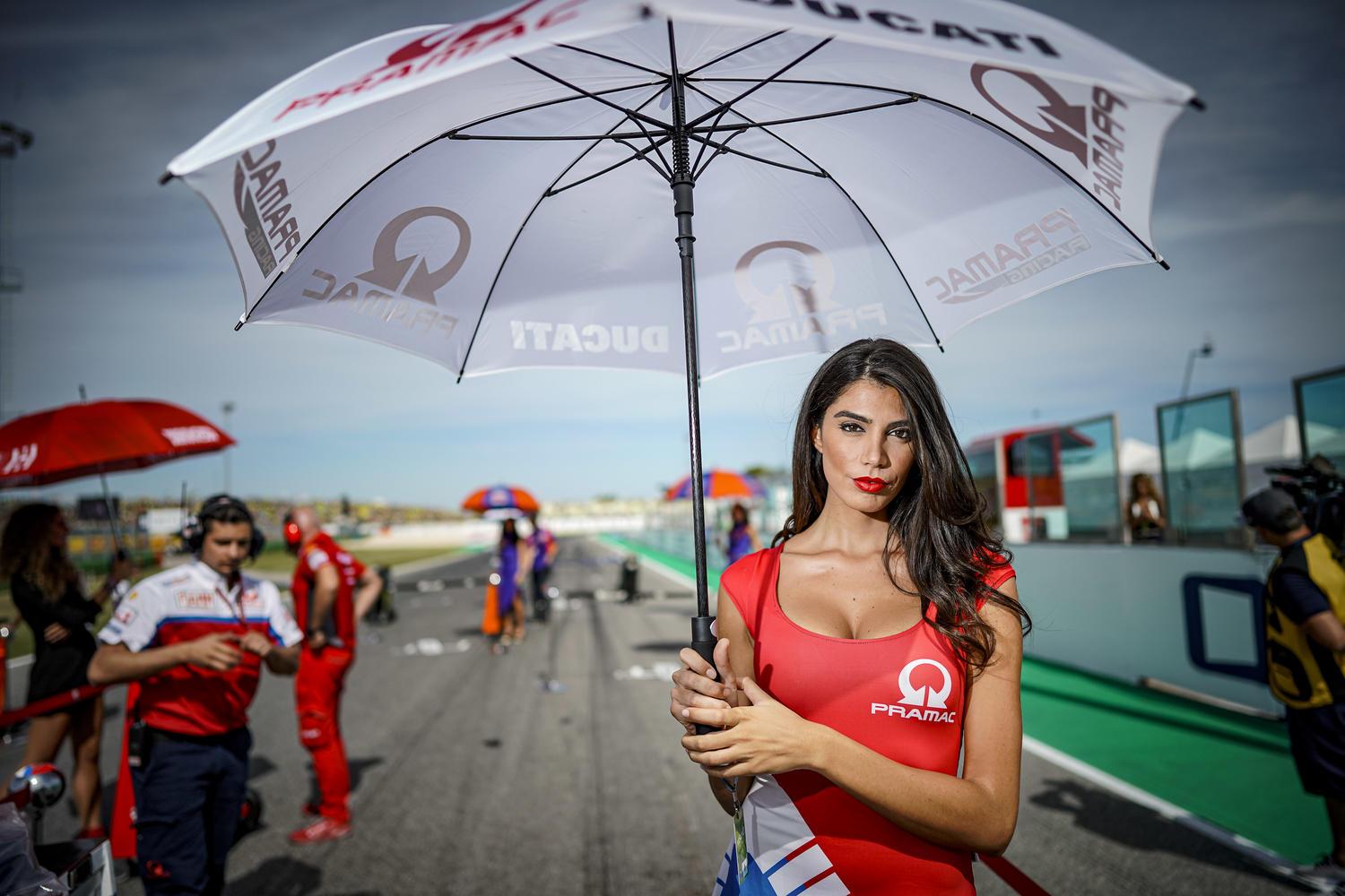 MotoGP Misano PitGirls