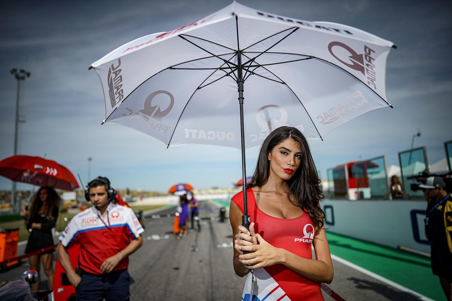 MotoGP Misano PitGirls