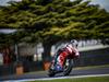 MotoGP Phillip Island Day_1