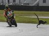 MotoGP Phillip Island Day_1