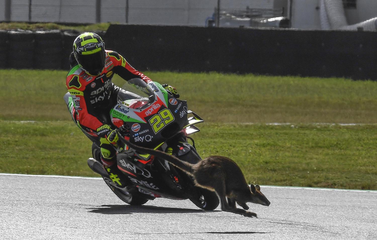 MotoGP Phillip Island Day_1