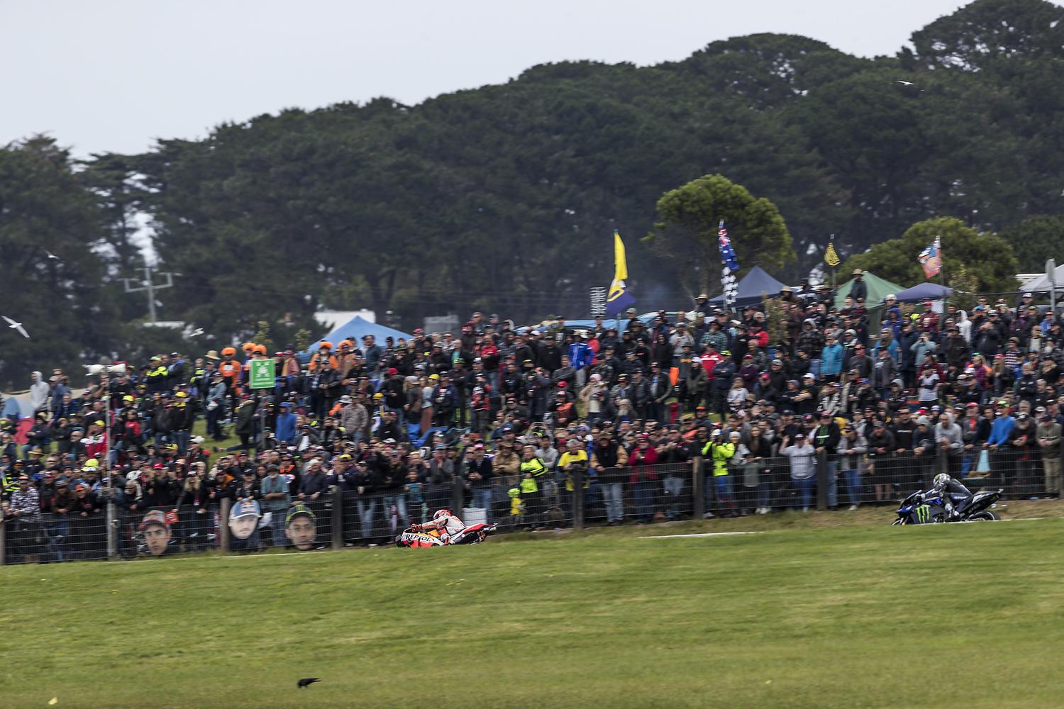 MotoGP Phillip Island RACE