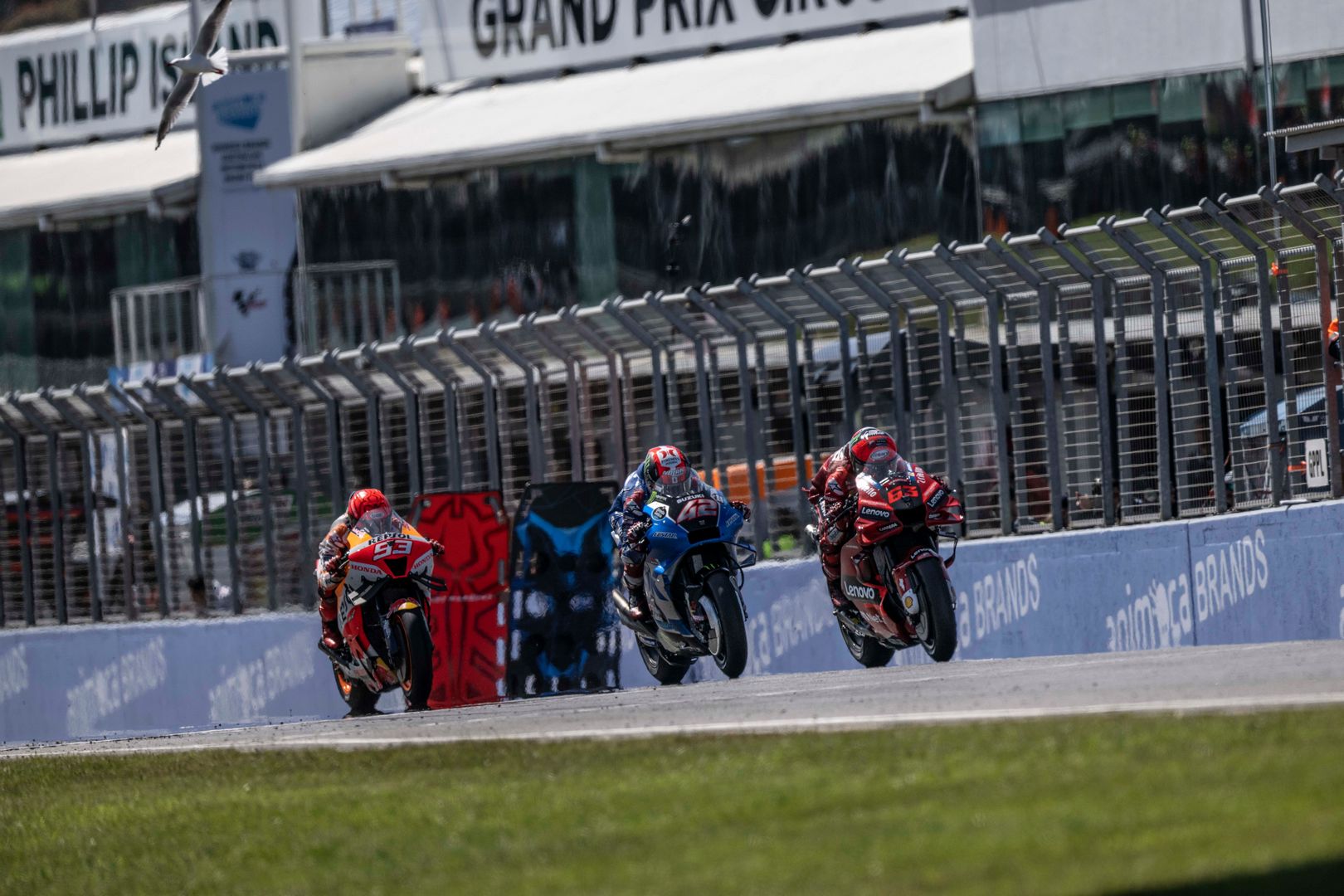MotoGP Phillip Island RACE