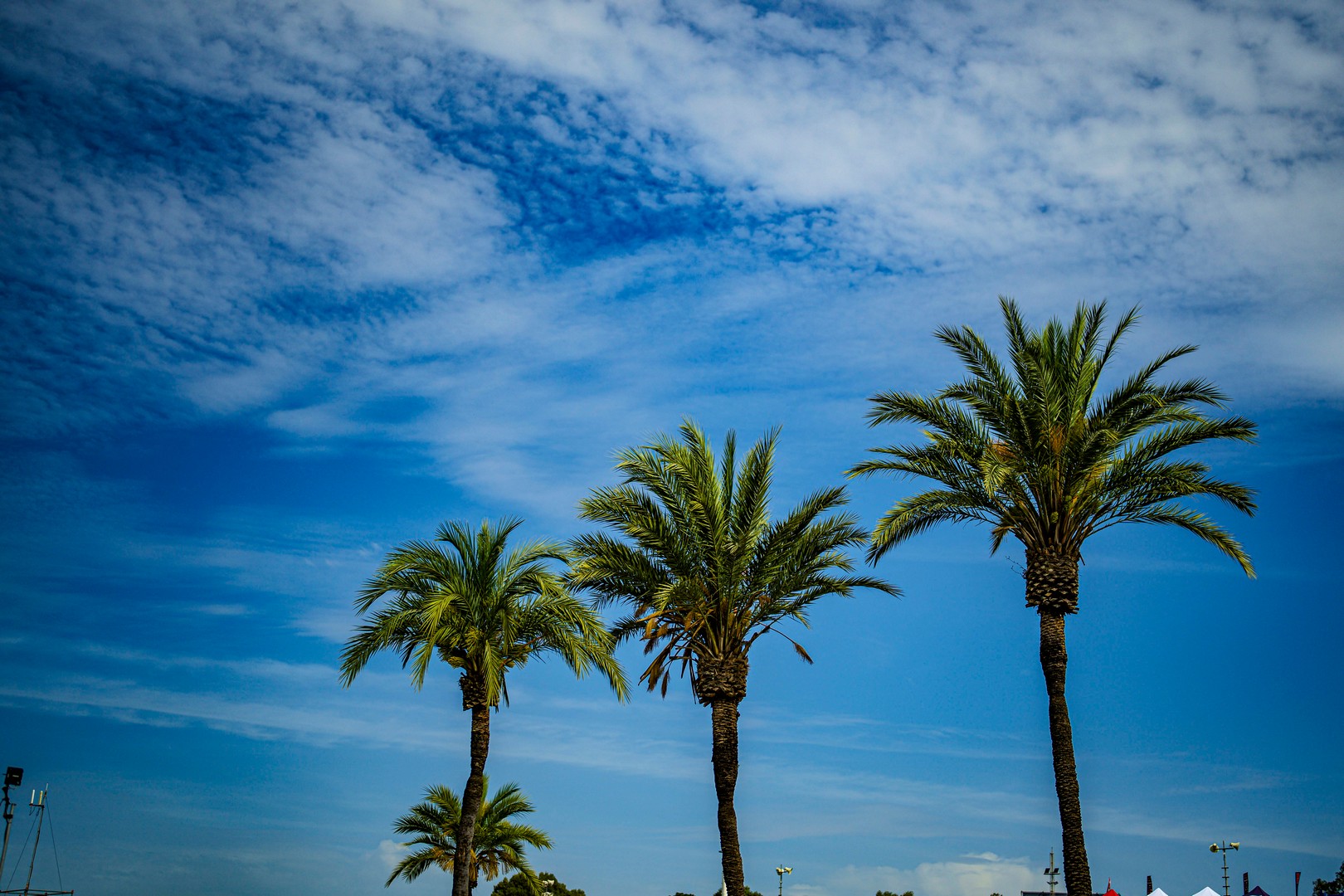 MotoGP Jerez Day_1