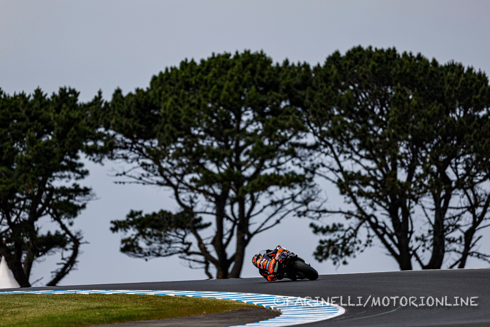 MotoGP Phillip Island RACE