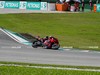 MotoGP Sepang RACE