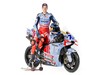 Shooting Ducati Gresini Marquez