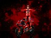 Ducati Factory