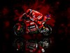 Ducati Factory