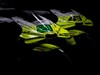Ducati VR46