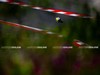 motogp-gp-indonesia-mandalika-pre-qualifiche-2025-00022