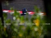MotoGP Indonesia Day_1