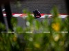 MotoGP Indonesia Day_1