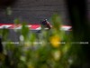 motogp-gp-indonesia-mandalika-pre-qualifiche-2025-00038