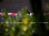 MotoGP Indonesia Day_1