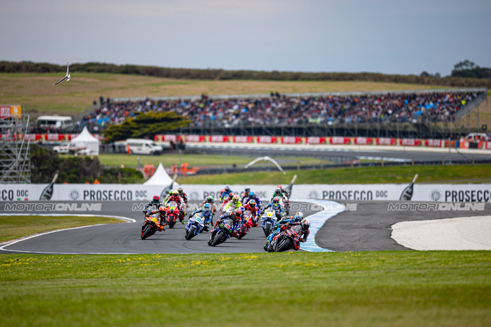 MotoGP Phillip Island RACE