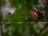 motogp-gp-germania-sachsenring-pre-qualifiche-2025-00030