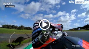 MotoGP | GP Australia: wallaby in pista, che rischio per Aleix Espargarò! [VIDEO]