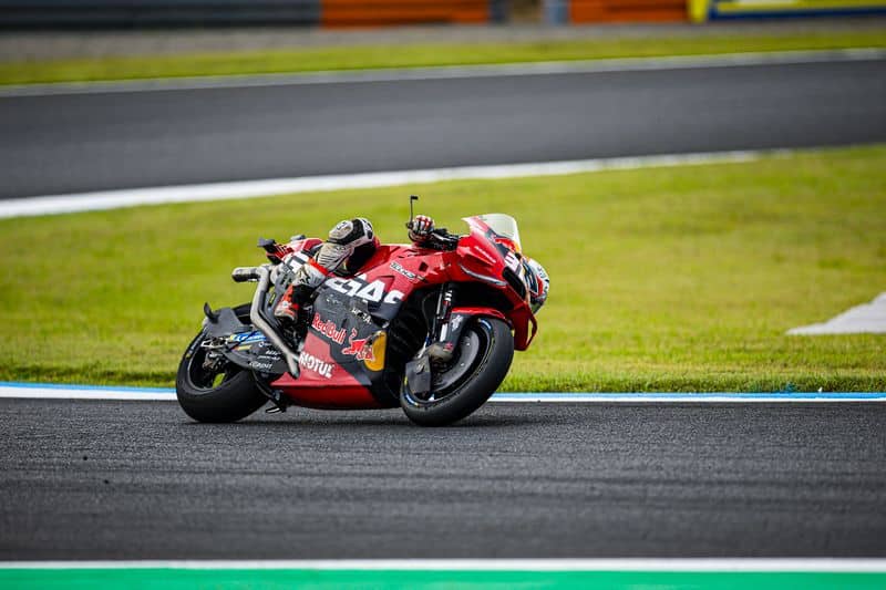 MotoGP | Gp Australia, Acosta: “Phillip Island circuito che adoro”